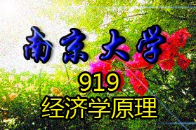 南京大学考研专业课《919经济学原理》一对一辅导