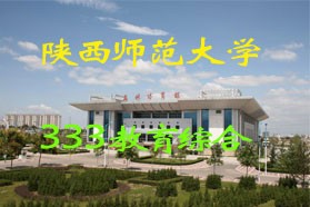 陕西师范大学考研专业课《333教育综合》一对一辅导