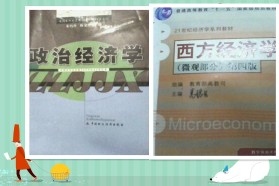 中南财经政法大学考研专业课《805经济学》一对一辅导