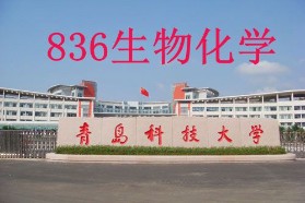 青岛科技大学考研专业课《836生物化学》一对一辅导