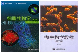 吉林大学考研专业课《861微生物学与细胞生物学》一对一辅导