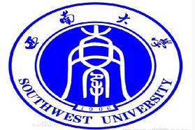 西南大学考研专业课《848语言文学基础》一对一辅导