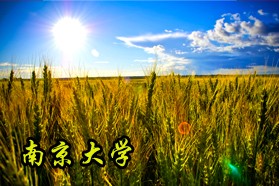 南京大学《819土地管理学》