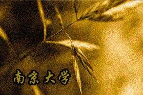 南京大学考研专业课《611哲学综合》一对一辅导