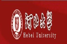 河北大学考研专业课《613英语语言技能综合》一对一辅导