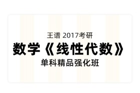 名师王谱2017考研数学《线性代数》单科精品强化班