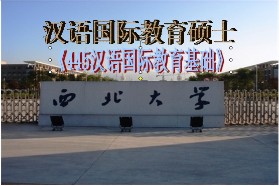 西北大学考研专业课《445汉语国际教育基础》一对一辅导