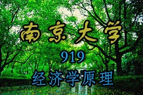 南京大学考研专业课《919经济学原理》一对一辅导