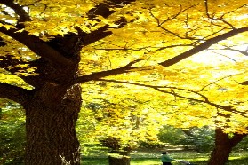 中国政法大学考研专业课《701法学综合一》一对一辅导