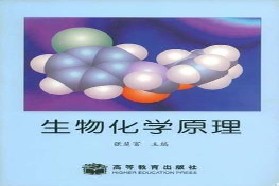 重庆大学考研专业课《859生物化学》一对一辅导
