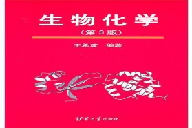 哈尔滨工业大学考研专业课《811食品生物化学》一对一辅导