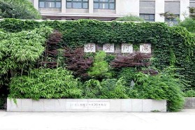 河海大学考研专业课《813材料力学》一对一辅导