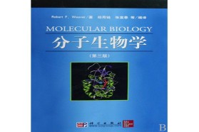 福建师范大学考研专业课《862分子生物学》一对一辅导