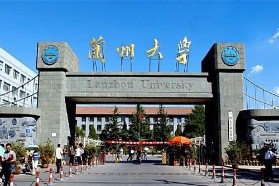 兰州大学考研专业课《445汉语国际教育基础》一对一辅导