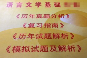 厦门大学考研专业课《701语言文学基础》一对一辅导