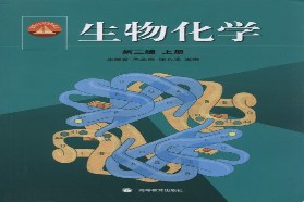 厦门大学考研专业课《832生物化学》一对一辅导