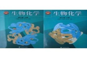 合肥工业大学考研专业课《811生物化学（二）》一对一辅导