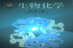 厦门大学考研专业课《832生物化学》一对一辅导