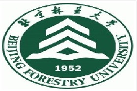 北京林业大学考研专业课《835数据结构》一对一辅导