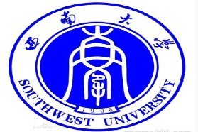 西南大学考研专业课《626文论与写作》一对一辅导