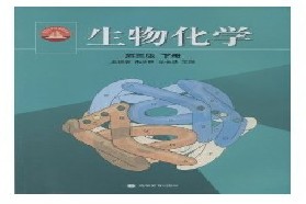 华东师范大学考研专业课《876生物化学》一对一辅导