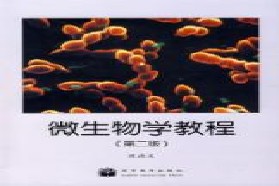 华东理工大学考研专业课《804微生物学》一对一辅导