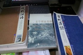 四川大学考研专业课《915现代汉语及古代汉语》一对一辅导