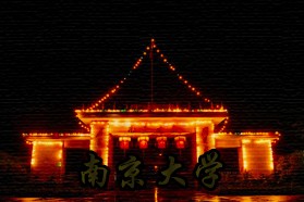 南京大学考研专业课《448汉语写作与百科知识》一对一辅导