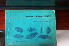 北京林业大学考研专业课《727植物学》一对一辅导