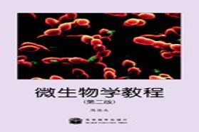 厦门大学考研专业课《622微生物学》一对一辅导