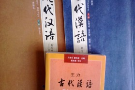 四川大学考研专业课《635文学评论写作》一对一辅导