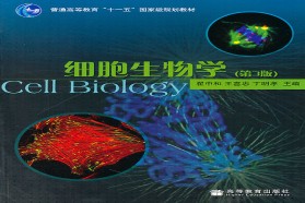 苏州大学考研专业课《845细胞生物学》一对一辅导