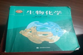 云南大学考研专业课《826生物化学》一对一辅导