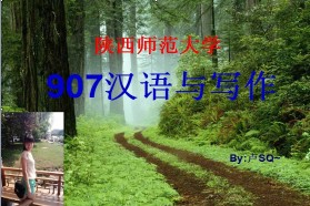 陕西师范大学考研专业课《907汉语与写作》一对一辅导