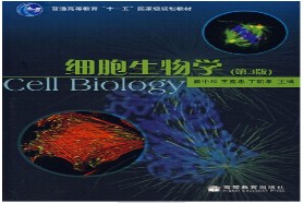 西北农林科技大学考研专业课《620细胞生物学》一对一辅导