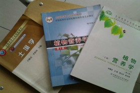 中国农业大学考研专业课《815土壤学与植物营养学》一对一辅导