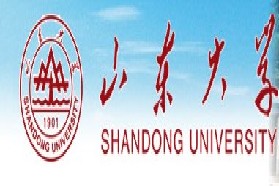 山东大学考研专业课《876土力学》一对一辅导