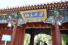 北京大学考研专业课《347心理学专业综合》一对一辅导