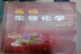 中国农业大学考研专业课《801植物生理学与生物化学》一对一辅导