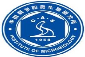 中国科学院研究生院微生物研究所考研专业课《612生物化学与分子生物学》一对一辅导