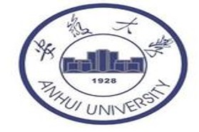 安徽大学考研专业课《807阅读与写作》一对一辅导