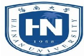 海南大学考研专业课《853理论力学》一对一辅导